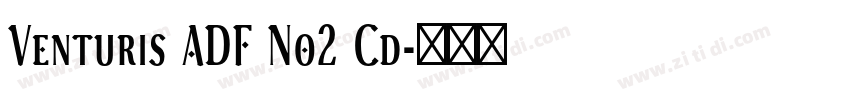 Venturis ADF No2 Cd字体转换 Venturis ADF No2 Cd字体转换